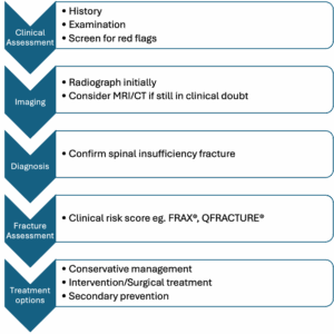 the msk playbook spinal insufficiency fractures
